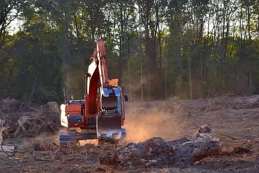 Logging Accident Injury Lawyers &#8211; West Virginia